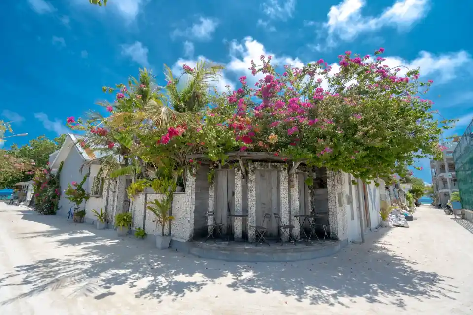 Brickwood Guest House