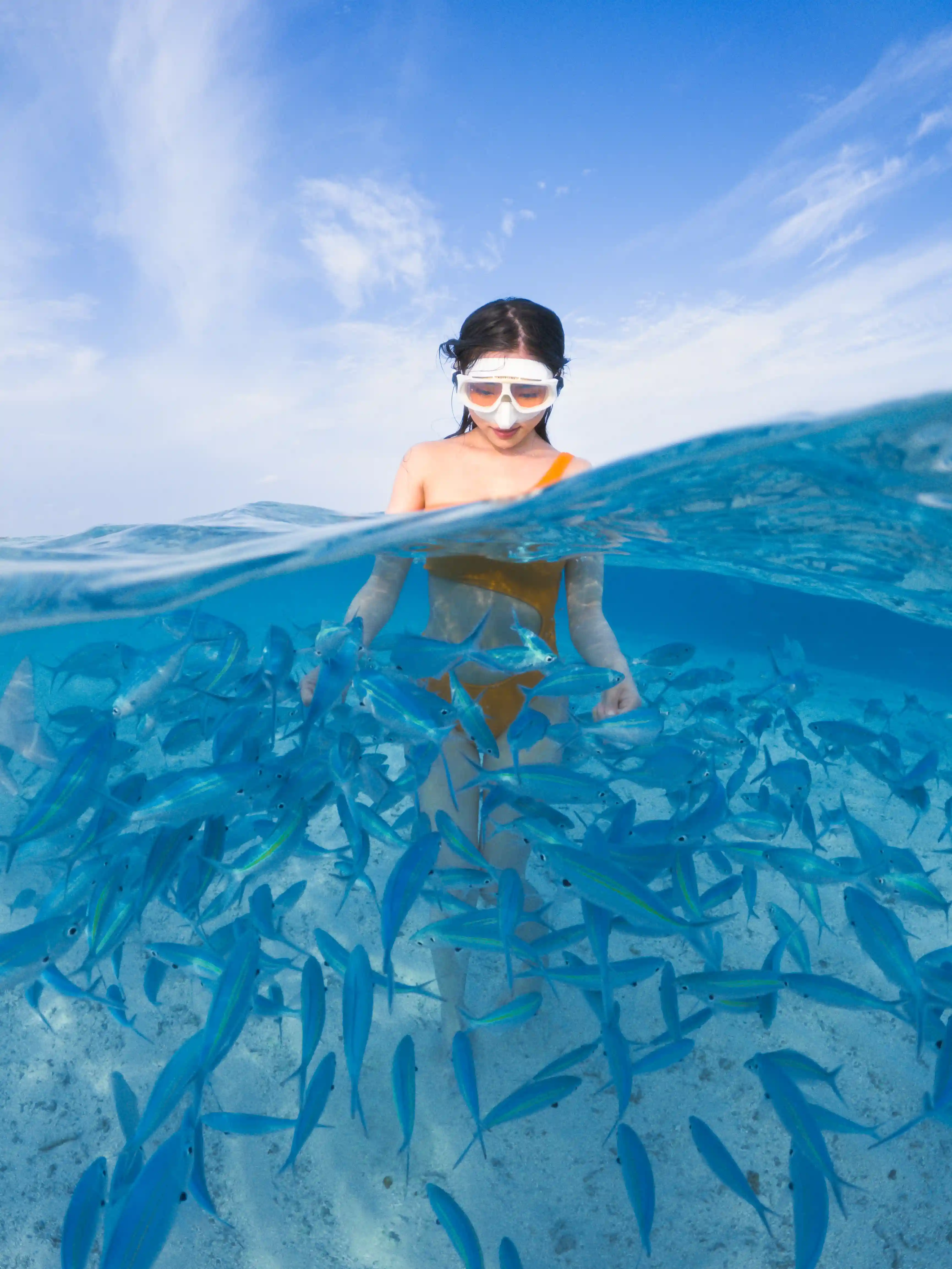 Safety first background