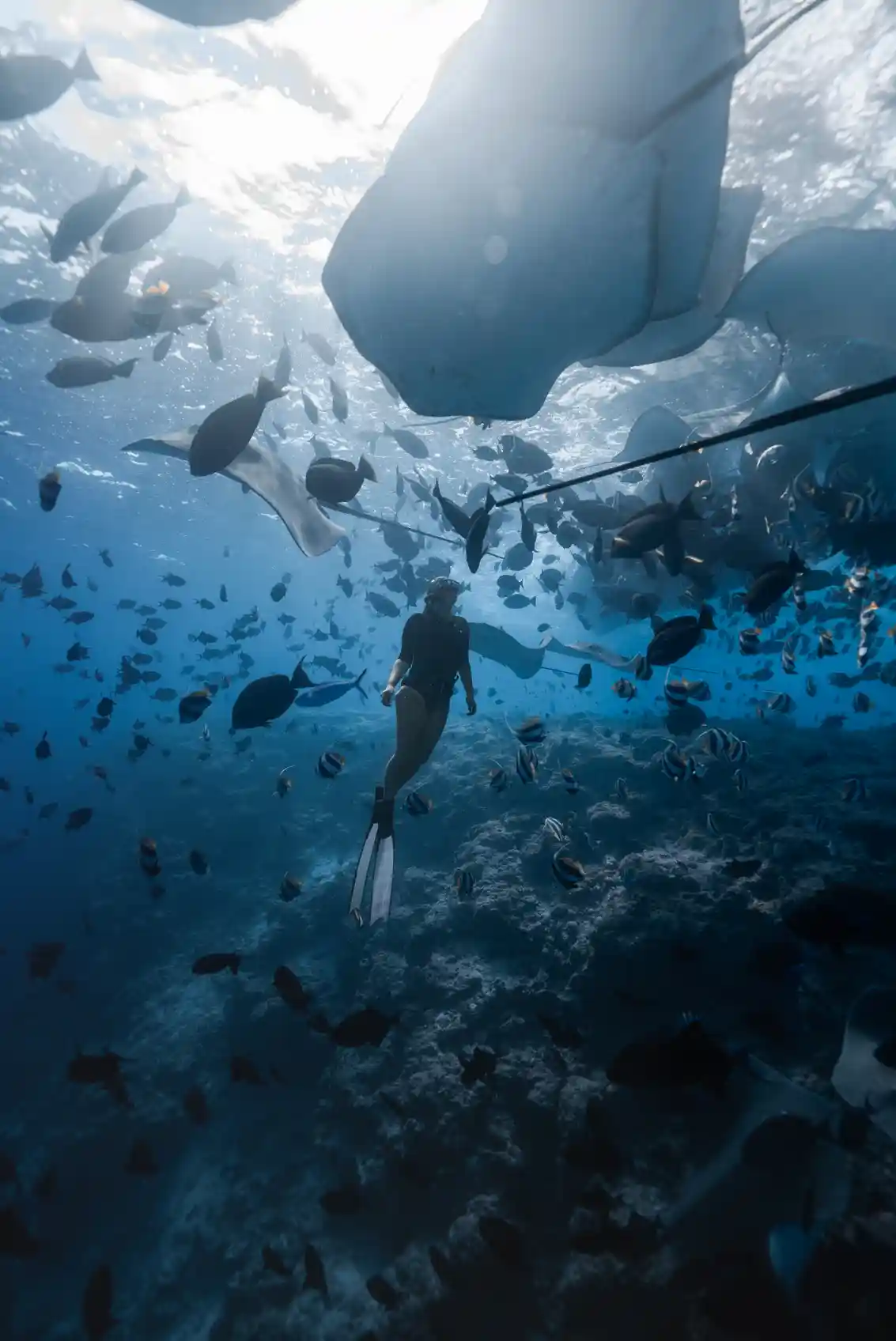 Rasdhoo Island excursions