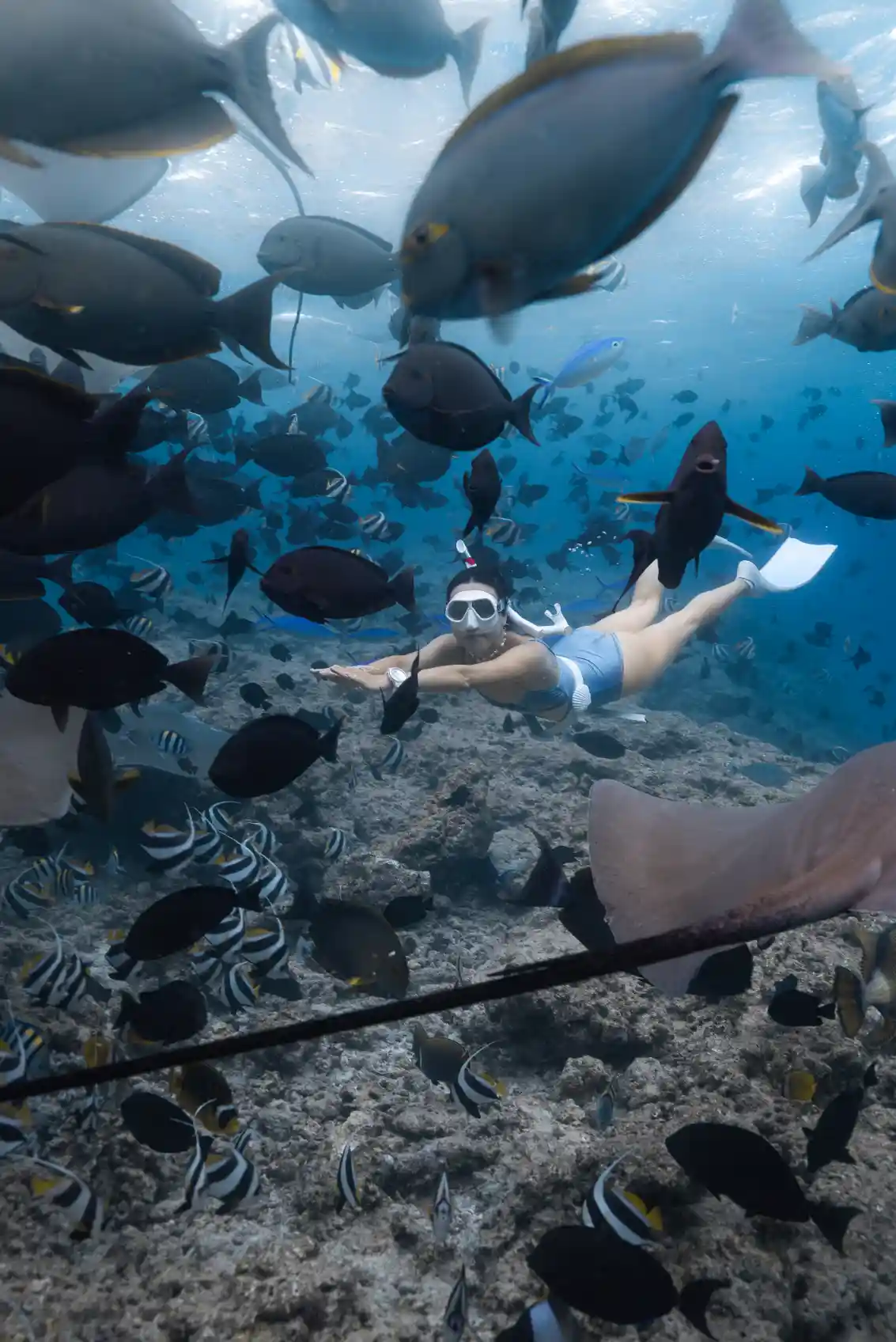 First dive experience