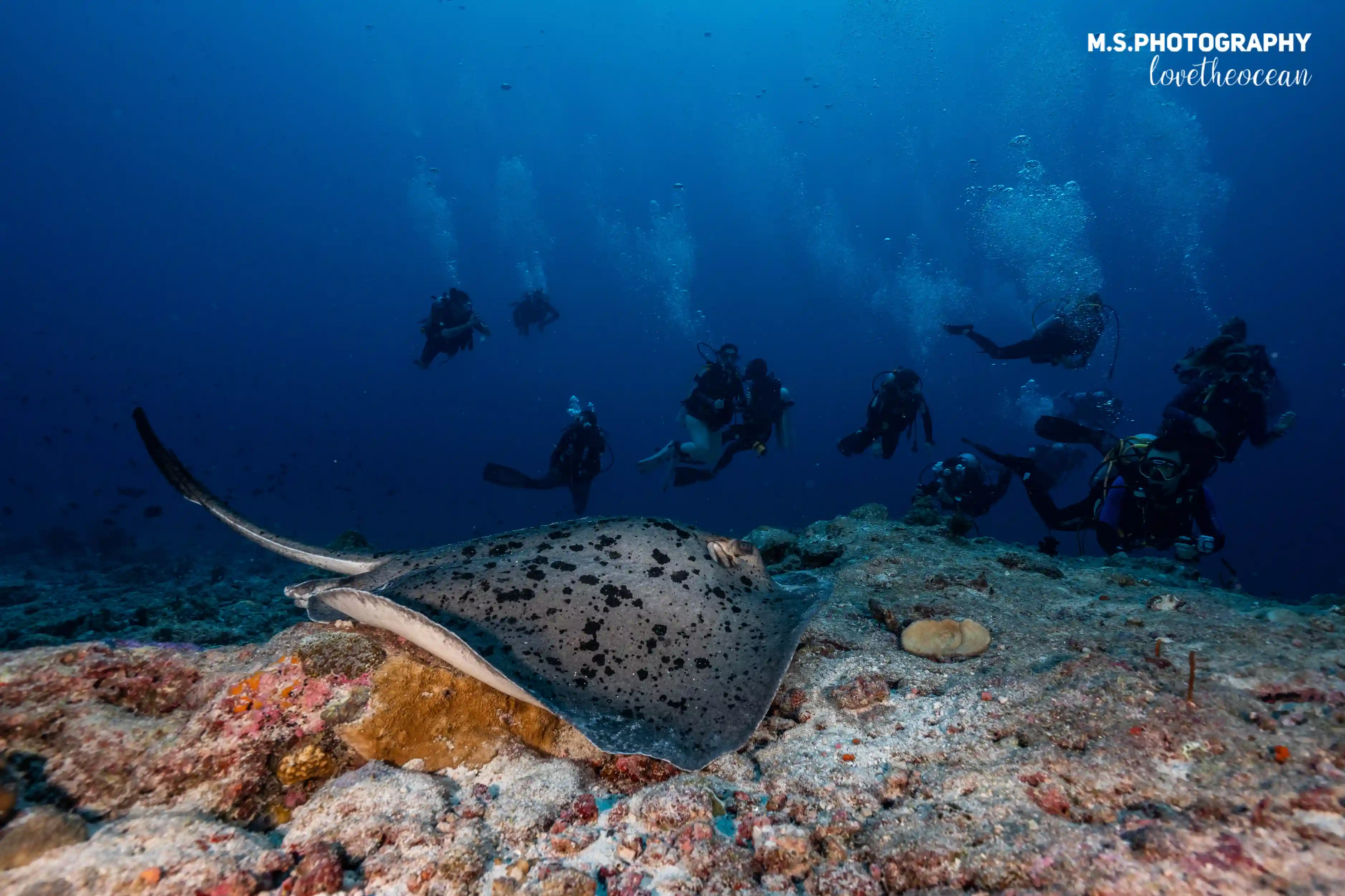 Underwater diving experience