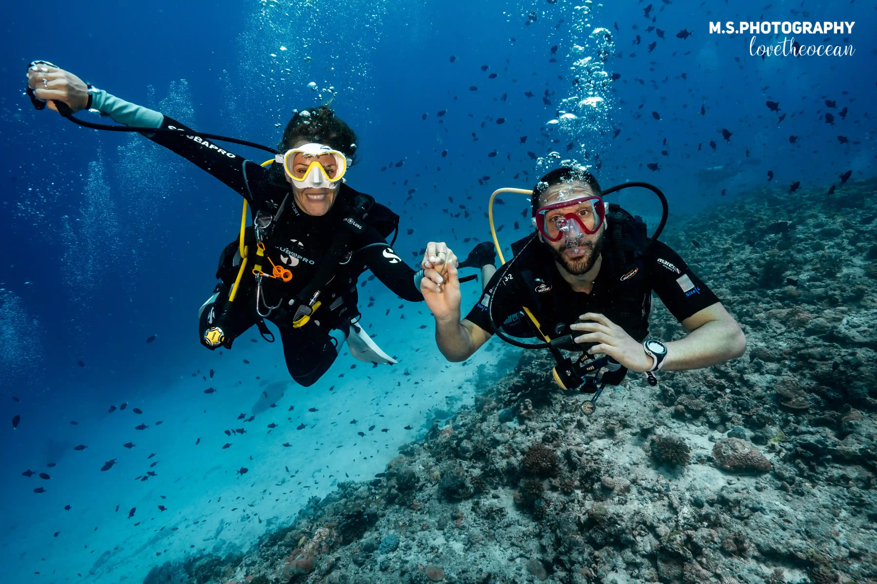 Rescue Diver + EFR Course