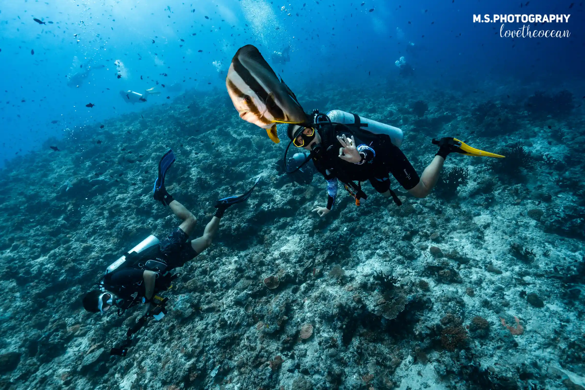 Safety procedures underwater