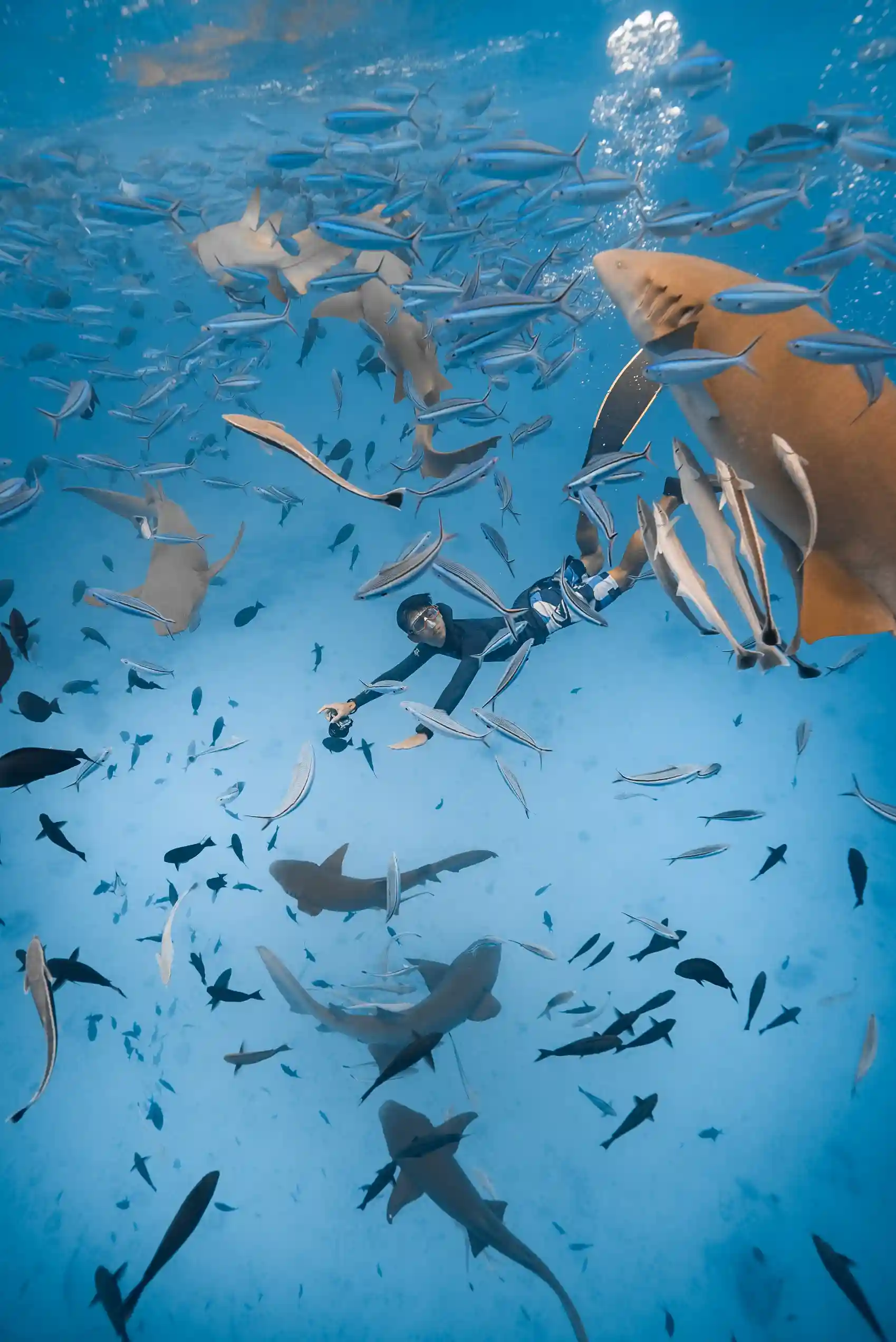 Snorkeling Adventure