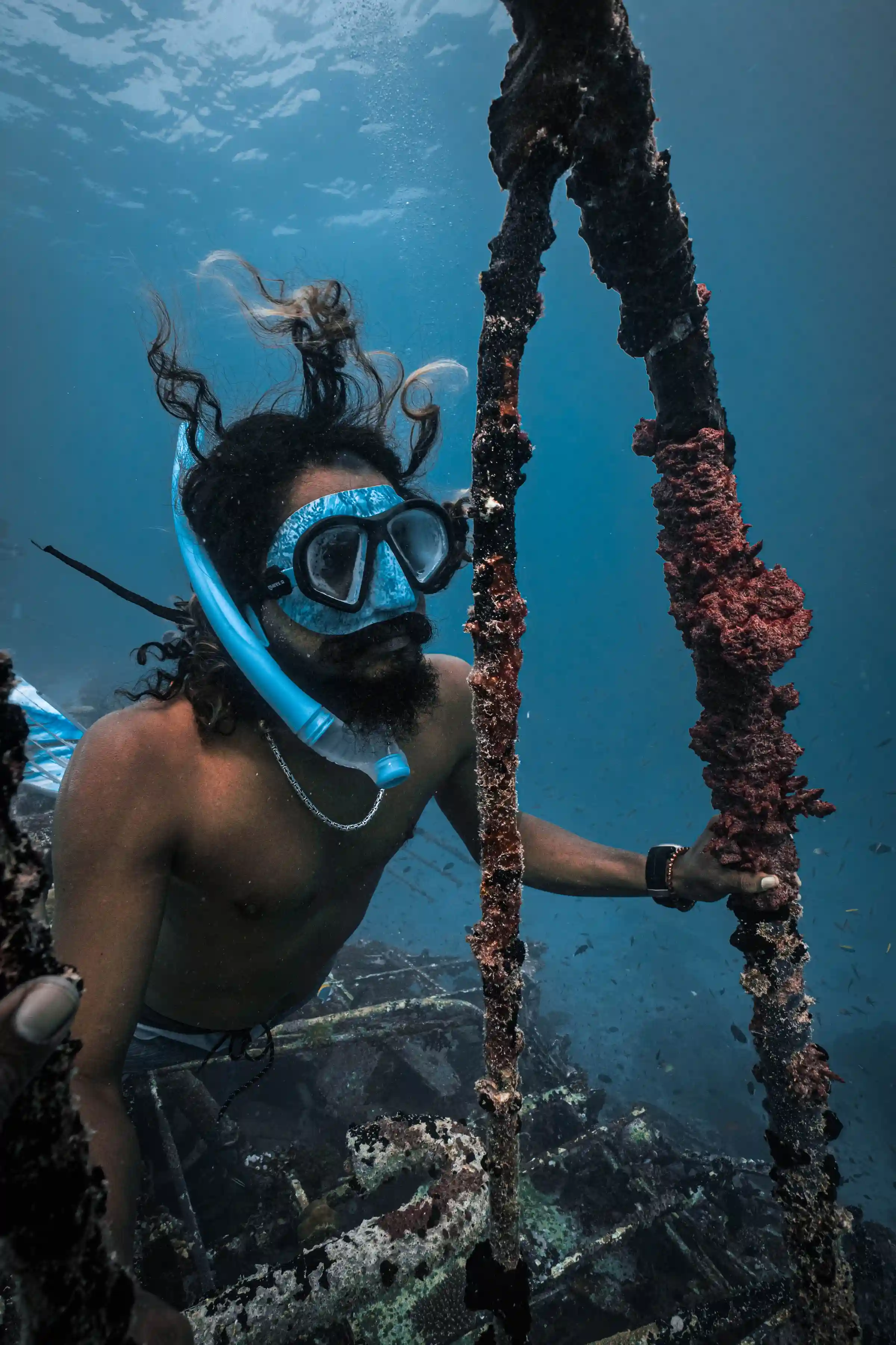 Thille - Dive Master