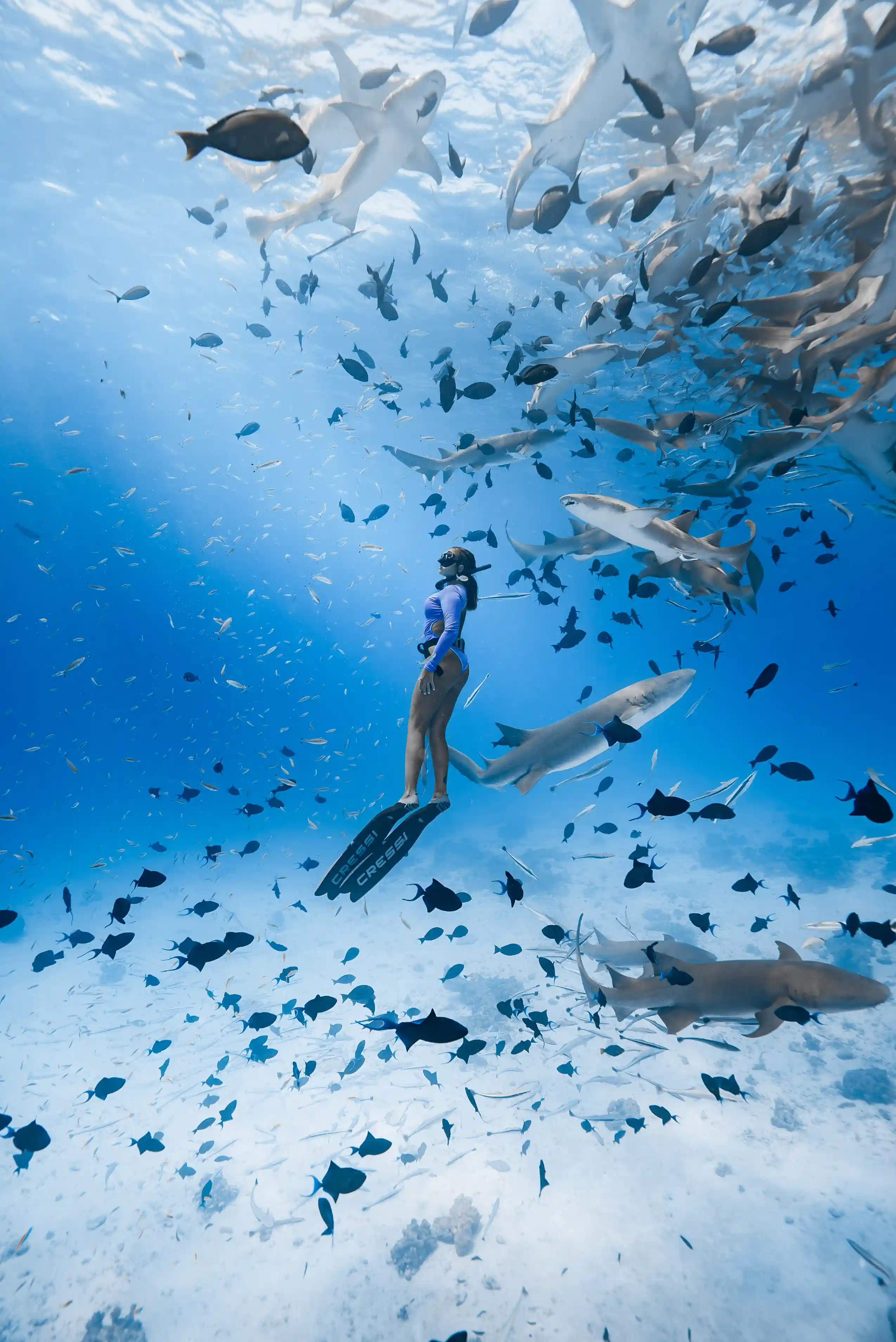 Big Blue dive center